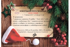 НОВОГОДНИЙ ЙОГА-ЧЕЛЛЕНДЖ 1-7 января с Екатериной Сидягиной