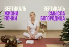 Вертикаль Жизни почки. Вертикаль смысла Богородица